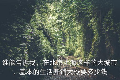 誰能告訴我，在北京上海這樣的大城市，基本的生活開銷大概要多少錢