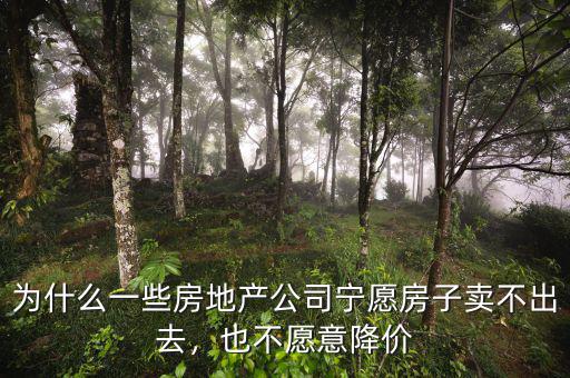 為什么一些房地產(chǎn)公司寧愿房子賣不出去，也不愿意降價