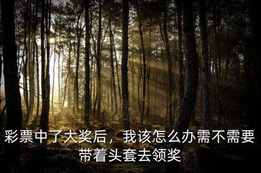 彩票中了大獎(jiǎng)后，我該怎么辦需不需要帶著頭套去領(lǐng)獎(jiǎng)