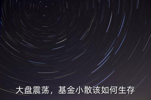 大盤震蕩，基金小散該如何生存