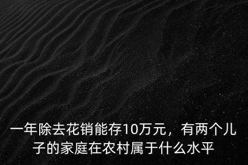 一年除去花銷能存10萬元，有兩個兒子的家庭在農(nóng)村屬于什么水平