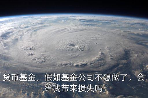 貨幣基金，假如基金公司不想做了，會(huì)給我?guī)?lái)?yè)p失嗎
