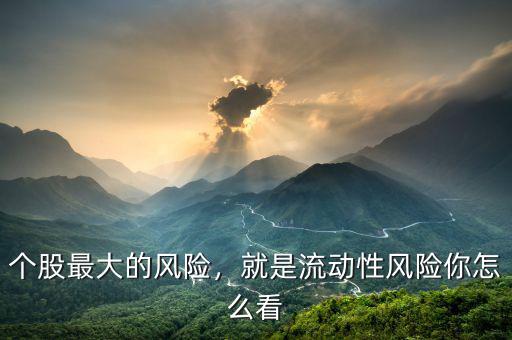 流動性風險是什么,就是流動性風險。你怎么看