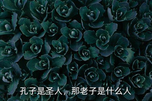 孔子是圣人，那老子是什么人