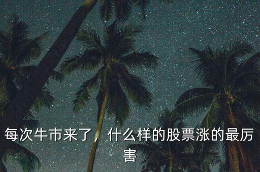 每次牛市來(lái)了，什么樣的股票漲的最厲害