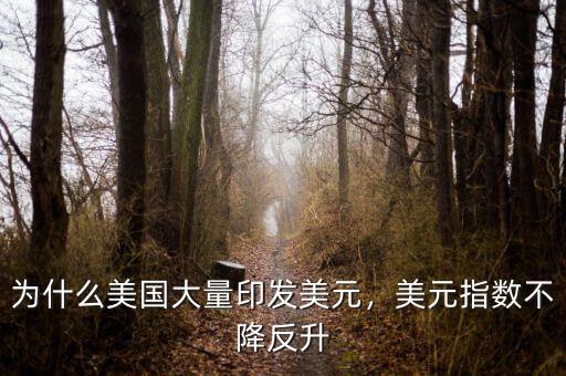 為什么美國(guó)大量印發(fā)美元，美元指數(shù)不降反升