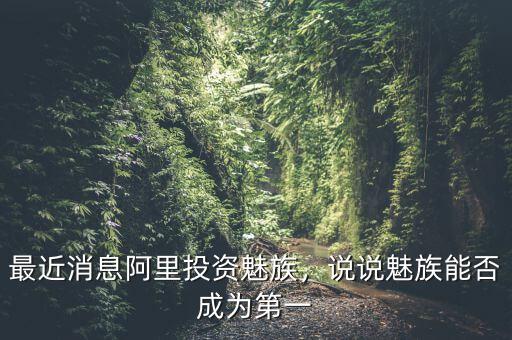 最近消息阿里投資魅族，說說魅族能否成為第一
