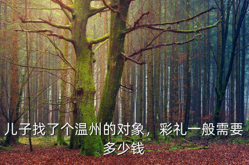 兒子找了個(gè)溫州的對象，彩禮一般需要多少錢