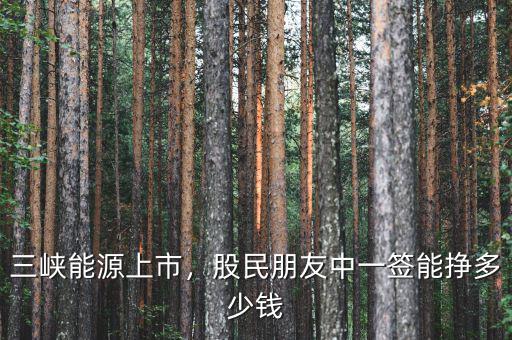 三峽能源上市，股民朋友中一簽?zāi)軖甓嗌馘X