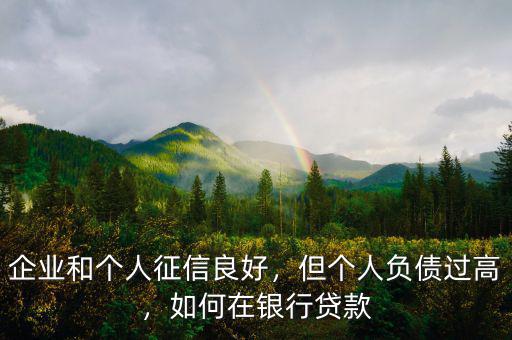企業(yè)和個人征信良好，但個人負債過高，如何在銀行貸款