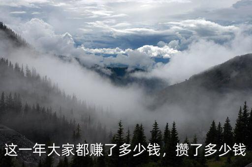 這一年大家都賺了多少錢，攢了多少錢