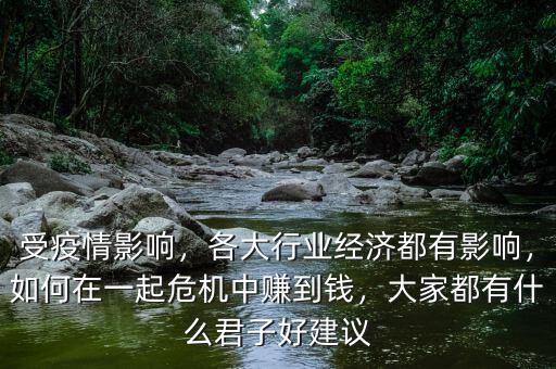 受疫情影響，各大行業(yè)經(jīng)濟(jì)都有影響，如何在一起危機(jī)中賺到錢，大家都有什么君子好建議