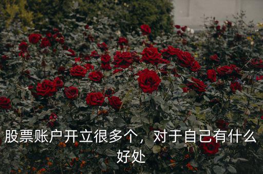 股票賬戶開(kāi)立很多個(gè)，對(duì)于自己有什么好處