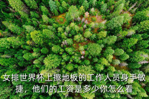 女排世界杯上擦地板的工作人員身手敏捷，他們的工資是多少你怎么看