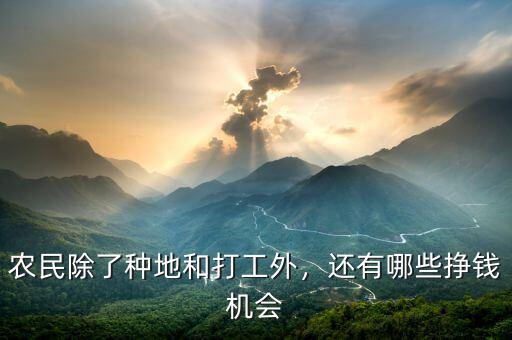 農(nóng)民除了種地和打工外，還有哪些掙錢(qián)機(jī)會(huì)