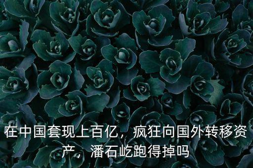 在中國(guó)套現(xiàn)上百億，瘋狂向國(guó)外轉(zhuǎn)移資產(chǎn)，潘石屹跑得掉嗎