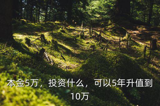 本金5萬，投資什么，可以5年升值到10萬