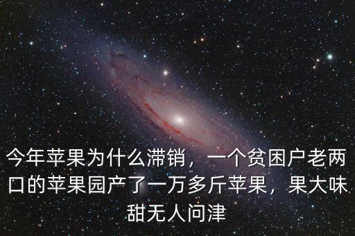 今年蘋果為什么滯銷，一個(gè)貧困戶老兩口的蘋果園產(chǎn)了一萬多斤蘋果，果大味甜無人問津