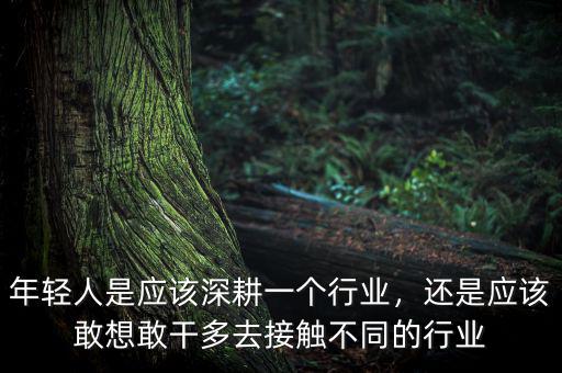 年輕人是應該深耕一個行業(yè)，還是應該敢想敢干多去接觸不同的行業(yè)
