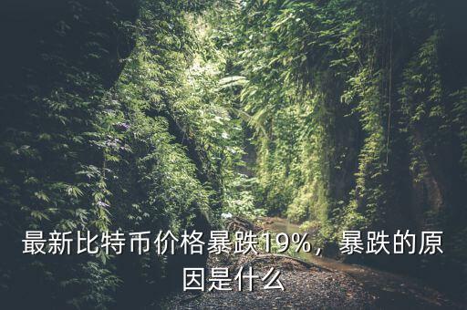 最新比特幣價格暴跌19%，暴跌的原因是什么