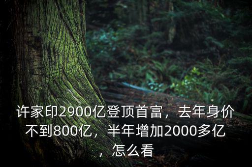 許家印2900億登頂首富，去年身價不到800億，半年增加2000多億，怎么看