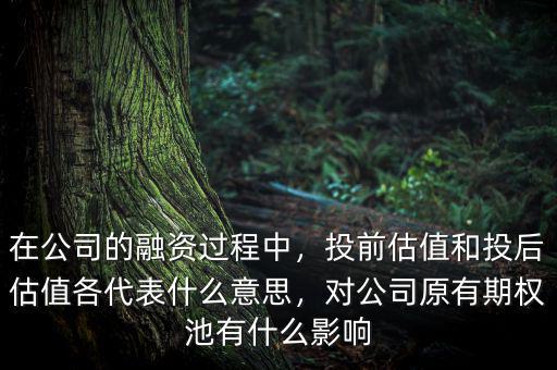 在公司的融資過程中，投前估值和投后估值各代表什么意思，對公司原有期權池有什么影響