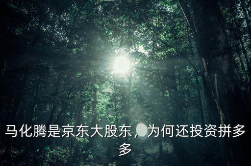 馬化騰是京東大股東，為何還投資拼多多
