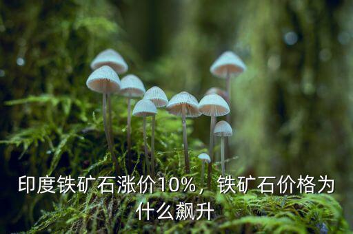 印度鐵礦石漲價10%，鐵礦石價格為什么飆升