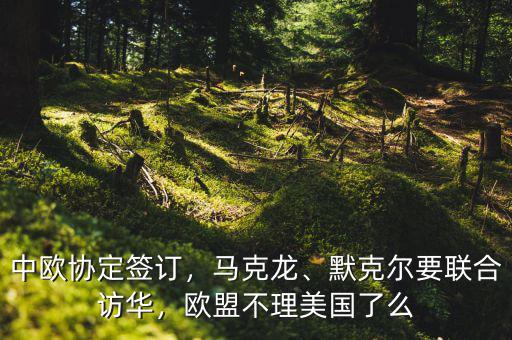 中歐協(xié)定簽訂，馬克龍、默克爾要聯(lián)合訪華，歐盟不理美國了么