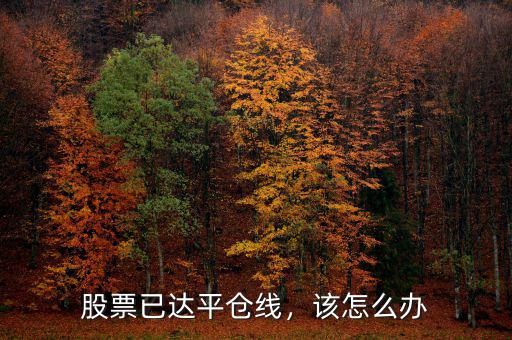 股票已達平倉線，該怎么辦