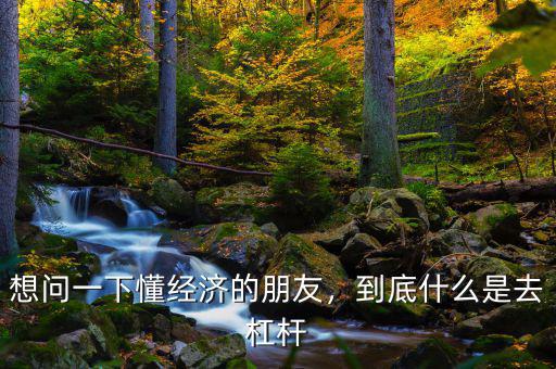 想問一下懂經濟的朋友，到底什么是去杠桿