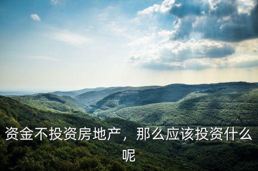 資金不投資房地產，那么應該投資什么呢