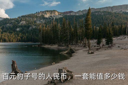 百元豹子號的人民幣，一套能值多少錢