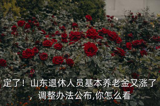 定了！山東退休人員基本養(yǎng)老金又漲了，調(diào)整辦法公布,你怎么看