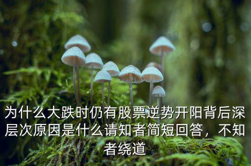 為什么大跌時(shí)仍有股票逆勢(shì)開(kāi)陽(yáng)背后深層次原因是什么請(qǐng)知者簡(jiǎn)短回答，不知者繞道