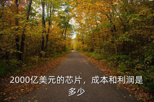 2000億美元的芯片，成本和利潤是多少