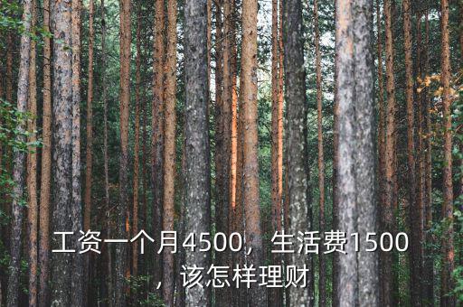 工資一個月4500，生活費1500，該怎樣理財