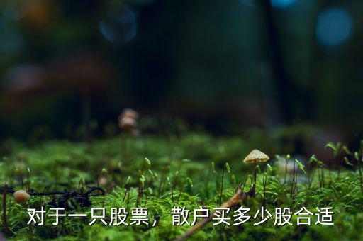 對于一只股票，散戶買多少股合適
