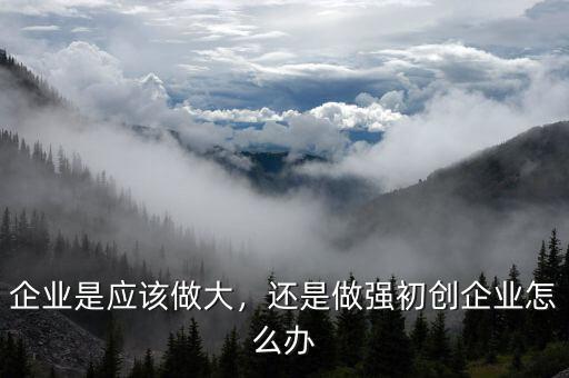 企業(yè)是應(yīng)該做大，還是做強(qiáng)初創(chuàng)企業(yè)怎么辦