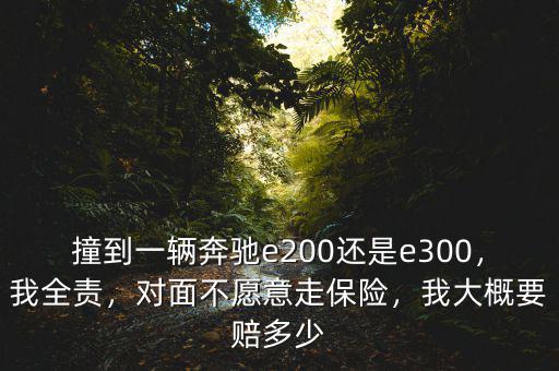 撞到一輛奔馳e200還是e300，我全責(zé)，對面不愿意走保險，我大概要賠多少