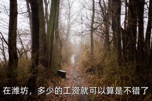 在濰坊，多少的工資就可以算是不錯了