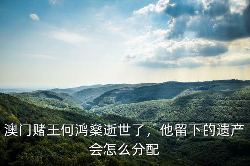 澳門賭王何鴻燊逝世了，他留下的遺產(chǎn)會(huì)怎么分配