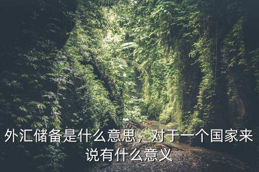 外匯儲備是什么意思，對于一個(gè)國家來說有什么意義