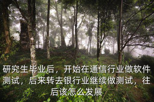 研究生畢業(yè)后，開始在通信行業(yè)做軟件測(cè)試，后來轉(zhuǎn)去銀行業(yè)繼續(xù)做測(cè)試，往后該怎么發(fā)展