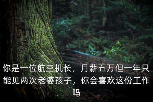 你是一位航空機長，月薪五萬但一年只能見兩次老婆孩子，你會喜歡這份工作嗎