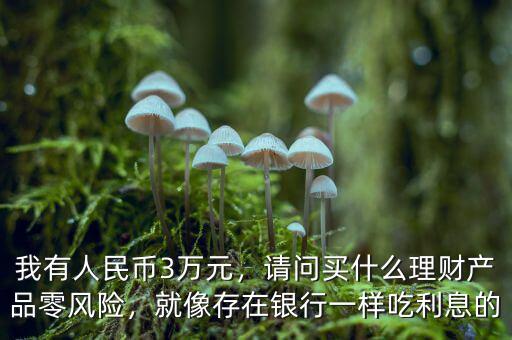 我有人民幣3萬(wàn)元，請(qǐng)問(wèn)買(mǎi)什么理財(cái)產(chǎn)品零風(fēng)險(xiǎn)，就像存在銀行一樣吃利息的