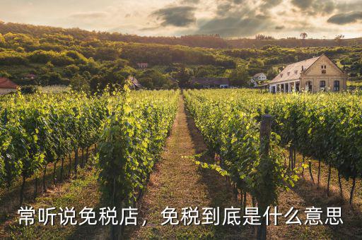 常聽說免稅店，免稅到底是什么意思
