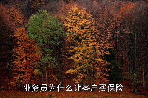 業(yè)務(wù)員為什么讓客戶(hù)買(mǎi)保險(xiǎn)