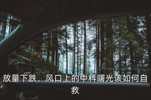 放量下跌，風(fēng)口上的中科曙光該如何自救