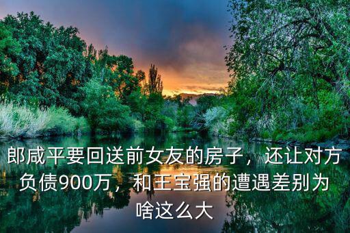 郎咸平要回送前女友的房子，還讓對方負債900萬，和王寶強的遭遇差別為啥這么大